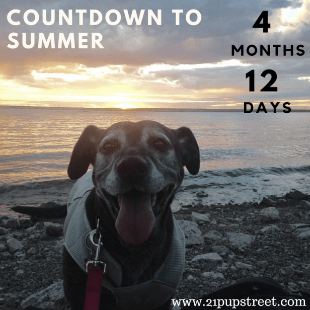countdown-to-summer