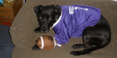 black-dog-football-jersey