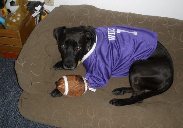 black-dog-football-jersey