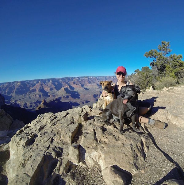 dogs-grand-canyon-south-rim