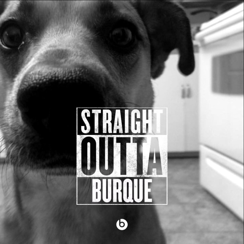 straight-outta-burque-dog